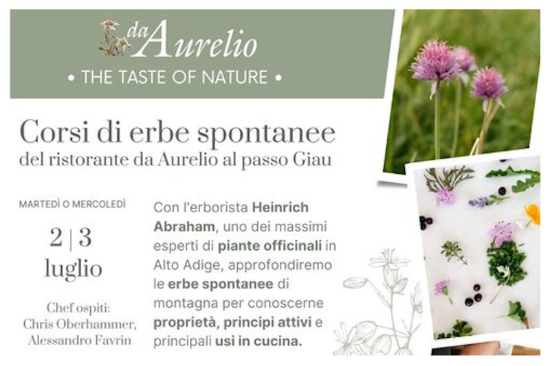 Corso di erbe spontanee week 1