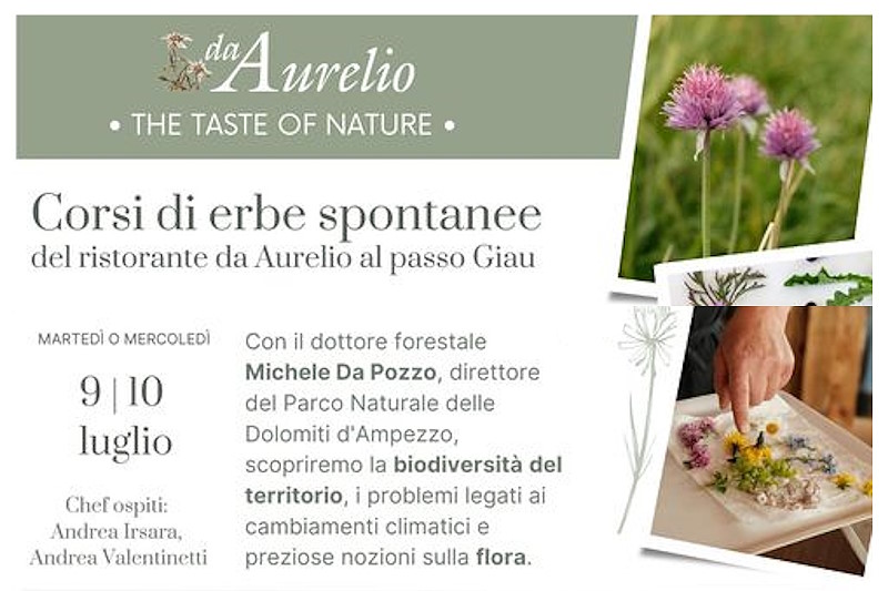 Corso di erbe spontanee week 2